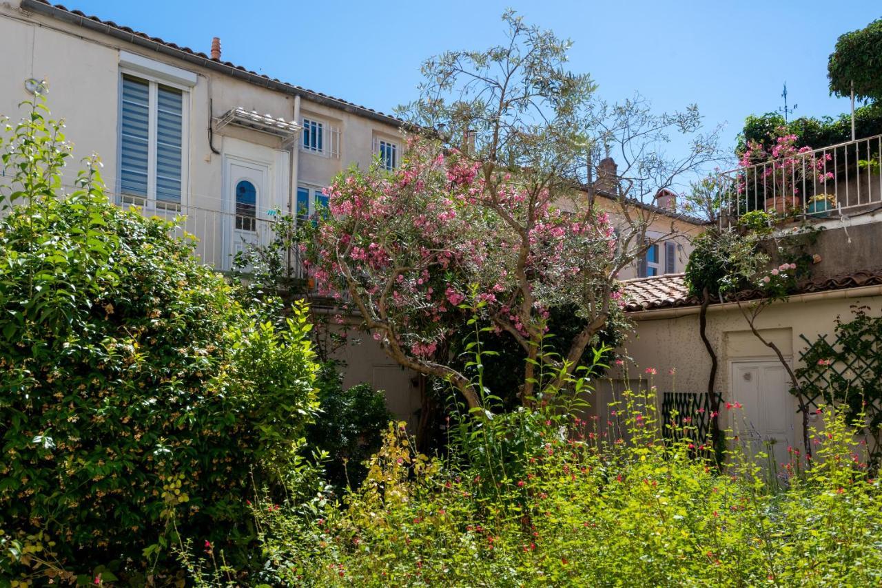 Le Pandora, Proche Tour Magne, Parking Et Terrasse Lejlighed Nîmes Eksteriør billede